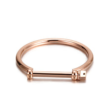 Load image into Gallery viewer, Fancy Stainless steel Bracelet