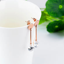 Load image into Gallery viewer, Fancy stainless steel jewelry Earrings