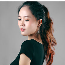 Load image into Gallery viewer, Fancy stainless steel jewelry Earrings