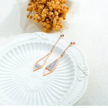 Load image into Gallery viewer, Fancy stainless steel jewelry Earrings