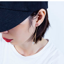 Load image into Gallery viewer, Fancy stainless steel jewelry Earrings