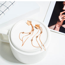 Load image into Gallery viewer, Fancy stainless steel jewelry Earrings