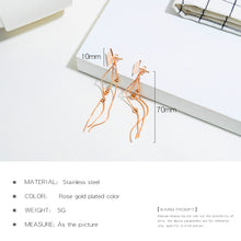 Load image into Gallery viewer, Fancy stainless steel jewelry Earrings