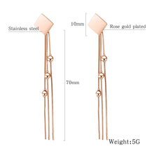 Load image into Gallery viewer, Fancy stainless steel jewelry Earrings