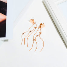 Load image into Gallery viewer, Fancy stainless steel jewelry Earrings