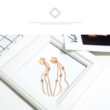 Load image into Gallery viewer, Fancy stainless steel jewelry Earrings