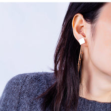 Load image into Gallery viewer, Fancy stainless steel jewelry Earrings