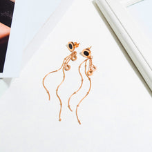 Load image into Gallery viewer, Fancy stainless steel jewelry Earrings