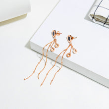 Load image into Gallery viewer, Fancy stainless steel jewelry Earrings