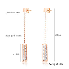 Load image into Gallery viewer, Fancy stainless steel jewelry Earrings