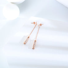 Load image into Gallery viewer, Fancy stainless steel jewelry Earrings