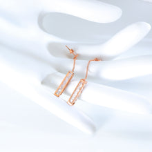 Load image into Gallery viewer, Fancy stainless steel jewelry Earrings