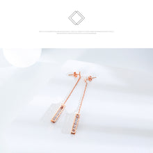 Load image into Gallery viewer, Fancy stainless steel jewelry Earrings