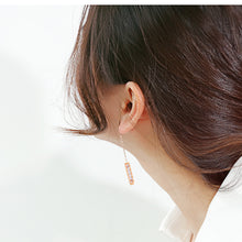 Load image into Gallery viewer, Fancy stainless steel jewelry Earrings