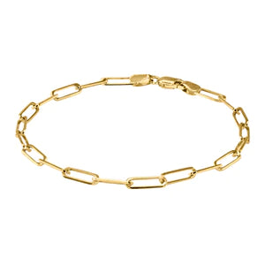 10k Yellow Gold Solid Paper Clip Bracelet 3.0 mm