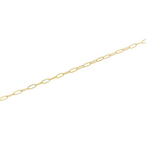 10k Gold 3.0mm Paper Clip Chain