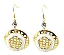 Load image into Gallery viewer, 315 Stainless Steel Earrings
