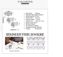 Load image into Gallery viewer, 315 Stainless Steel Earrings
