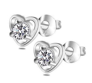 315 Stainless Steel Earrings