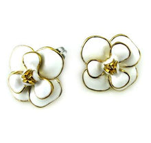 Load image into Gallery viewer, 315 Stainless Steel Earrings
