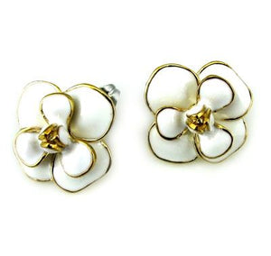 315 Stainless Steel Earrings