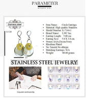 Load image into Gallery viewer, 315 stainless steel jewelry Earrings
