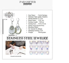 Load image into Gallery viewer, 315 stainless steel jewelry Earrings
