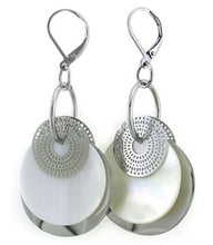 Load image into Gallery viewer, 315 stainless steel jewelry Earrings
