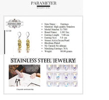 Load image into Gallery viewer, 315 stainless steel jewelry Earrings
