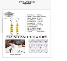 Load image into Gallery viewer, 315 stainless steel jewelry Earrings
