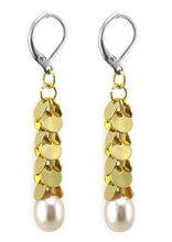 Load image into Gallery viewer, 315 stainless steel jewelry Earrings
