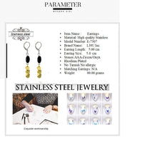 Load image into Gallery viewer, 315 stainless steel jewelry Earrings
