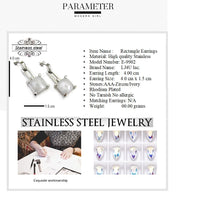 Load image into Gallery viewer, 316L stainless steel jewelry Earrings
