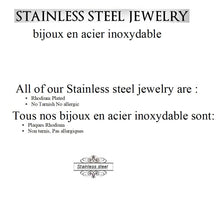 Load image into Gallery viewer, Fancy Stainless steel DOG TAG Necklace
