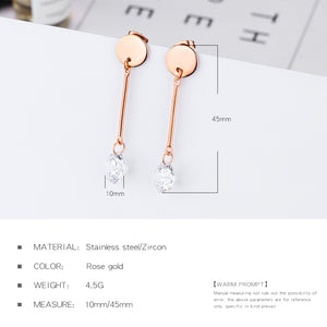 Fancy stainless steel jewelry Earrings
