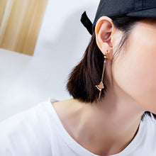 Load image into Gallery viewer, Fancy stainless steel jewelry BUTTERFLY Earrings
