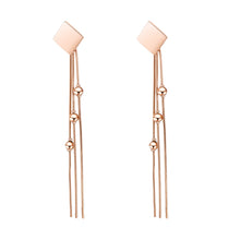 Load image into Gallery viewer, Fancy stainless steel jewelry Earrings
