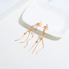 Load image into Gallery viewer, Fancy stainless steel jewelry Earrings
