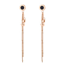 Load image into Gallery viewer, Fancy stainless steel jewelry Earrings
