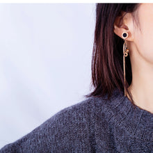 Load image into Gallery viewer, Fancy stainless steel jewelry Earrings
