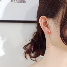 Load image into Gallery viewer, Fancy stainless steel STAR Earrings
