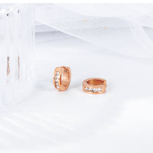 Load image into Gallery viewer, Fancy stainless steel HUGGIES Earrings
