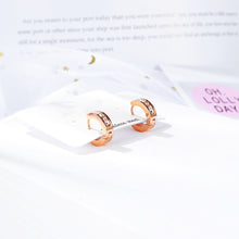 Load image into Gallery viewer, Fancy stainless steel HUGGIES Earrings
