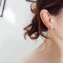 Load image into Gallery viewer, Fancy stainless steel HUGGIES Earrings
